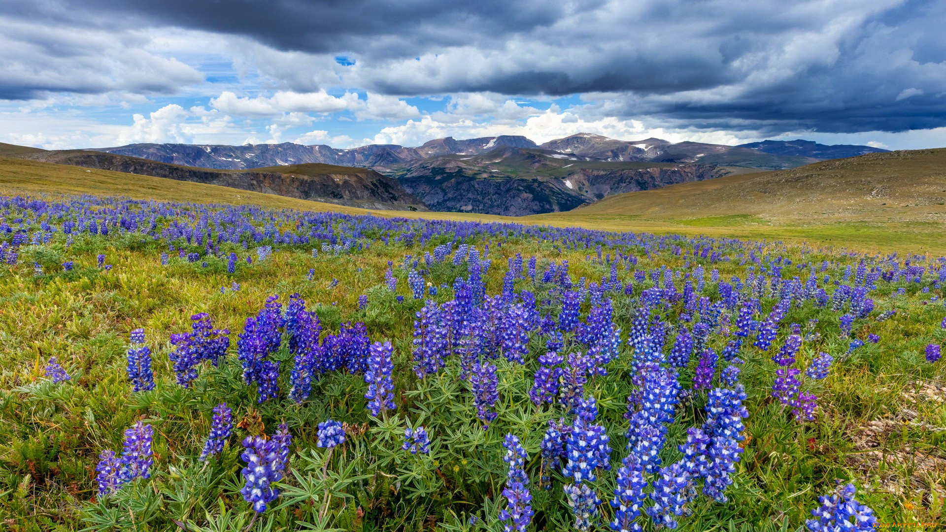 high beartooth mountains, wyoming, , , high, beartooth, mountains